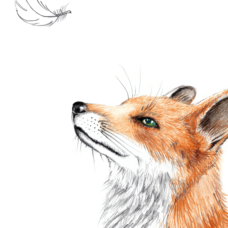 Fuchs Mit Feder Poster Kunstdruck Din Online Shop Janinesommer