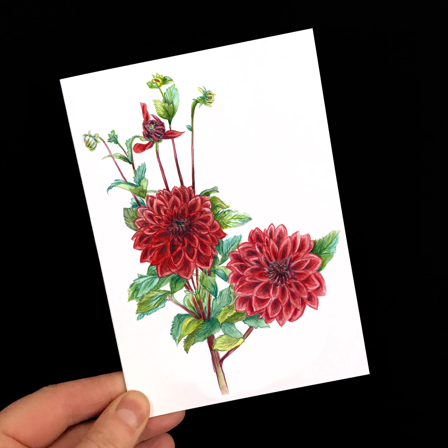 Grußkarte rote Dahlie, Blumengrußkarte 2