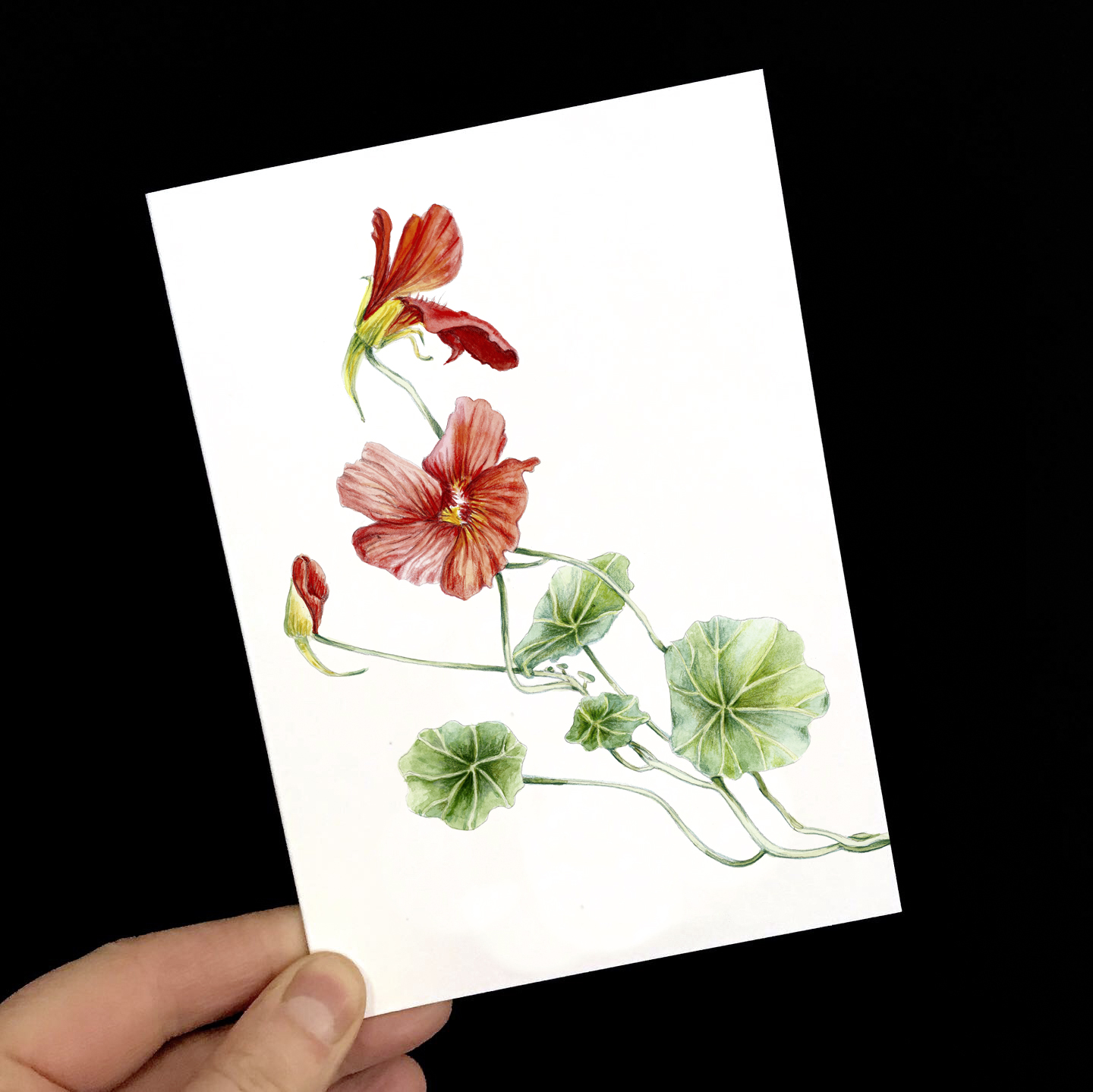 Grußkarte Kapuzinerkresse, Blumengrußkarte 2