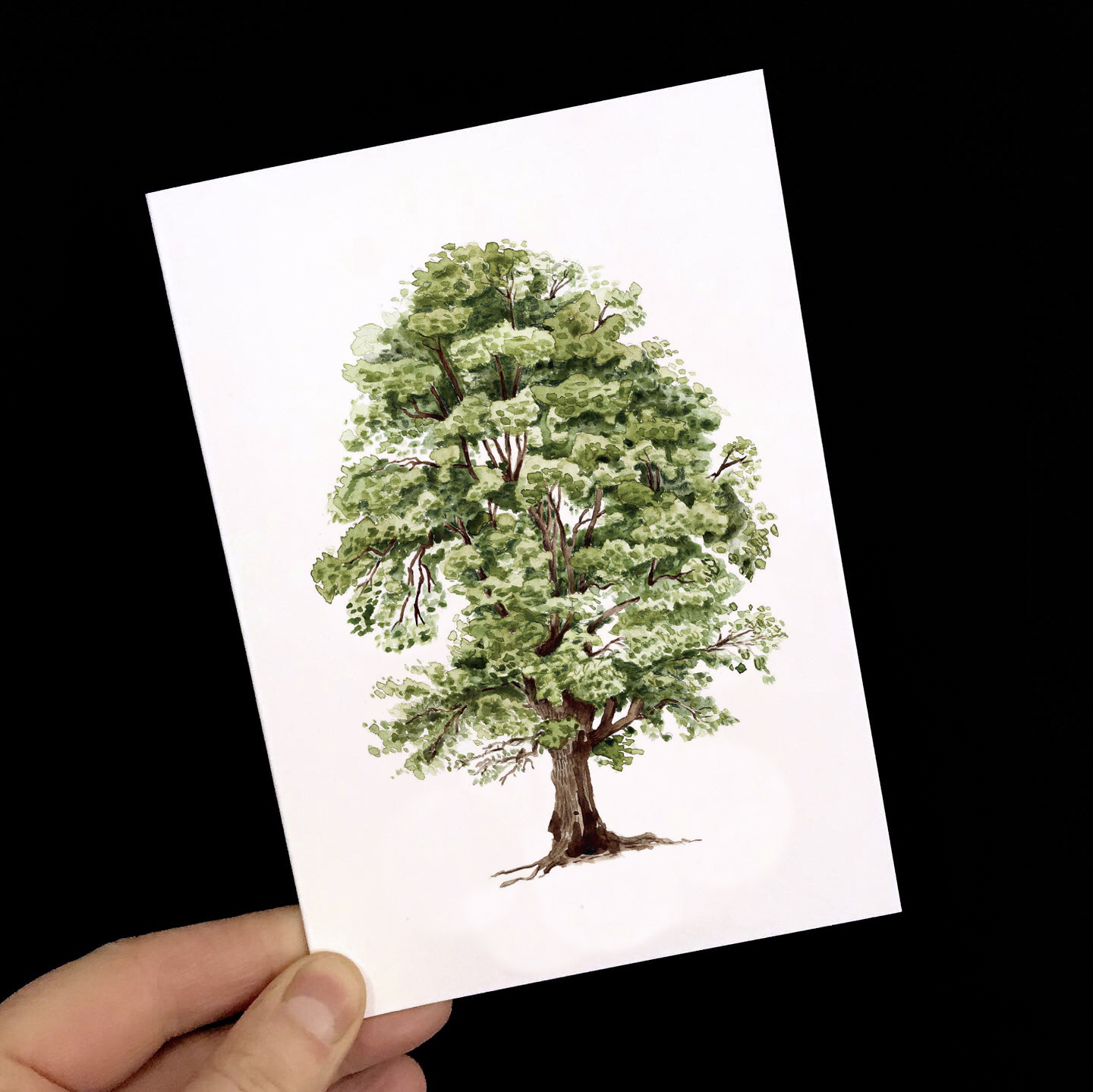 Grußkarte Lindenbaum Karte mit Baum 2