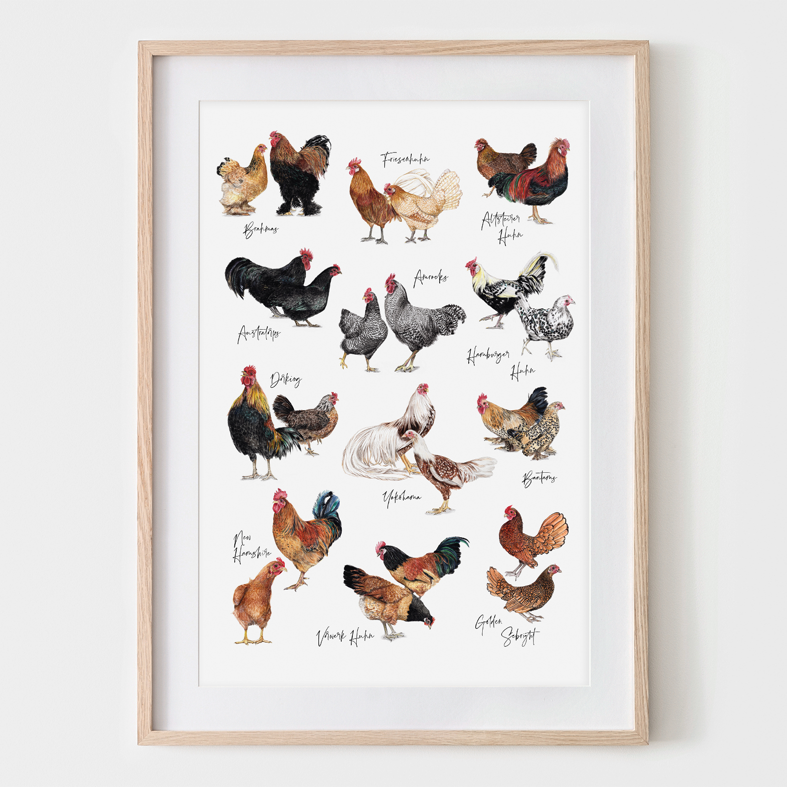 12 Hühnerarten, Hühnerposter, Fine Art Print, Giclée Print, Poster, Kunstdruck