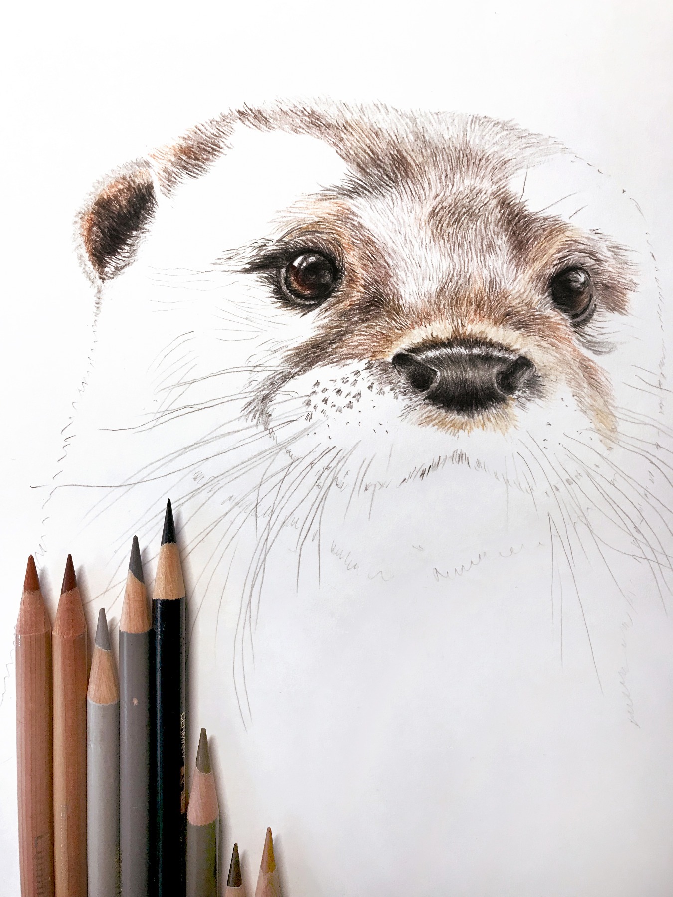 Otter mit Schal Fine Art Print Giclée Print Poster Kunstdruck Zeichnung 3