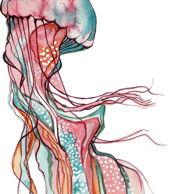 Jellyfish Qualle Poster Kunstdruck Zeichnung Meerestier 2