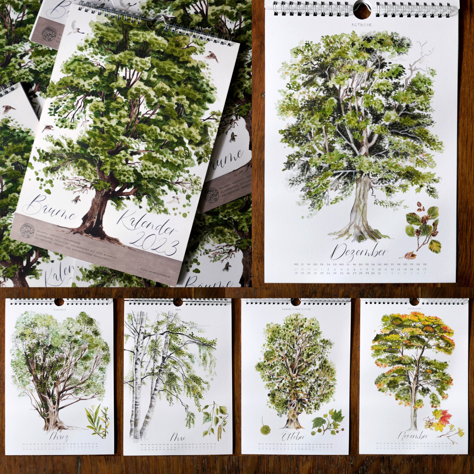 Baumkalender Bäume Kalender 2023 Wandkalender Waldkalender Kunstkalender illustrierter Kalender