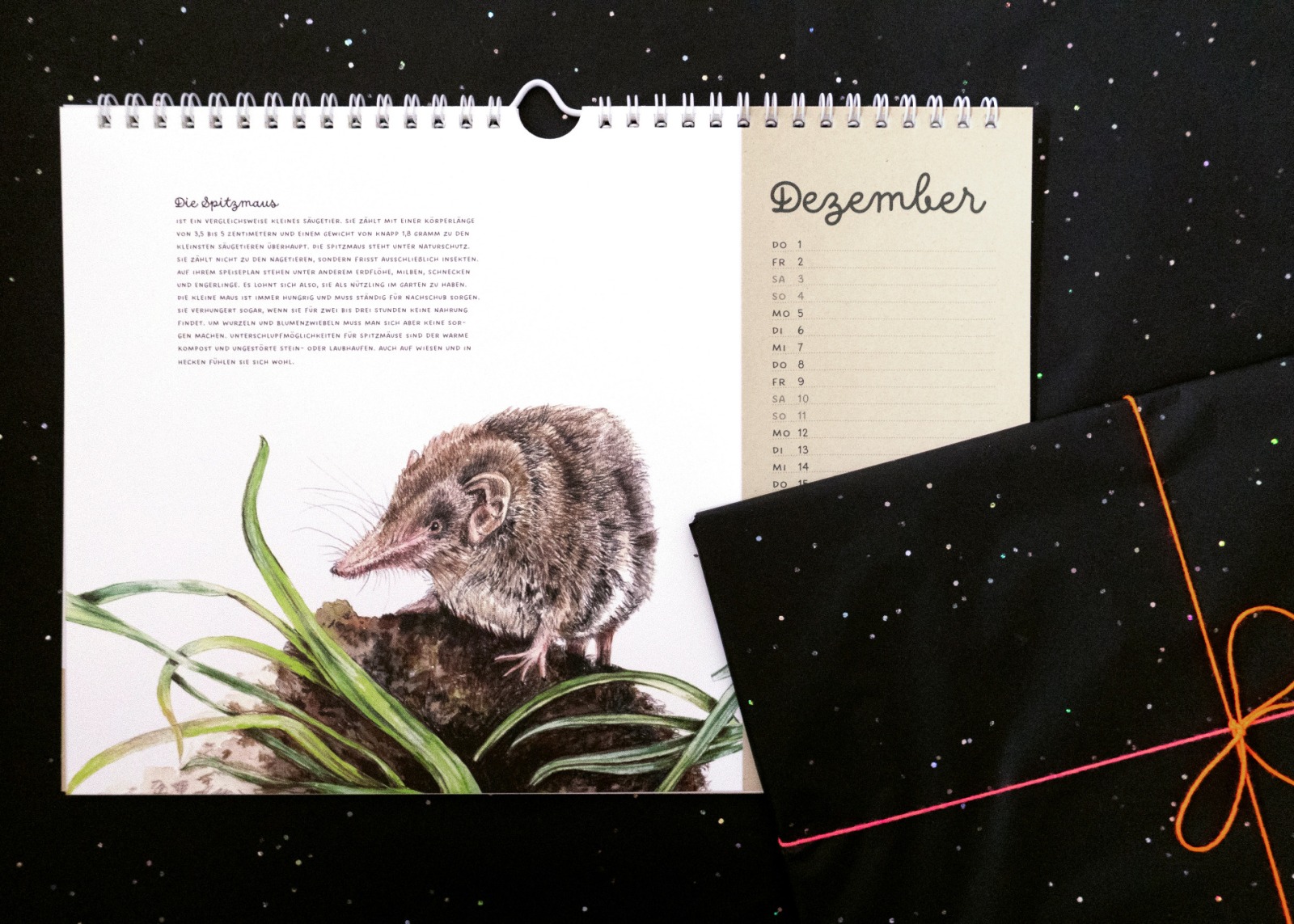 Tiere im Garten Kalender 2022 Wandkalender Tierkalender Kunstkalender Gartenkalender Naturkalender versandkostenfrei 4