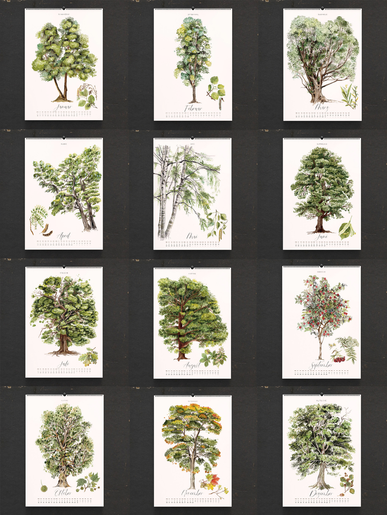 Baumkalender Bäume Kalender 2023 Wandkalender Waldkalender Kunstkalender illustrierter Kalender