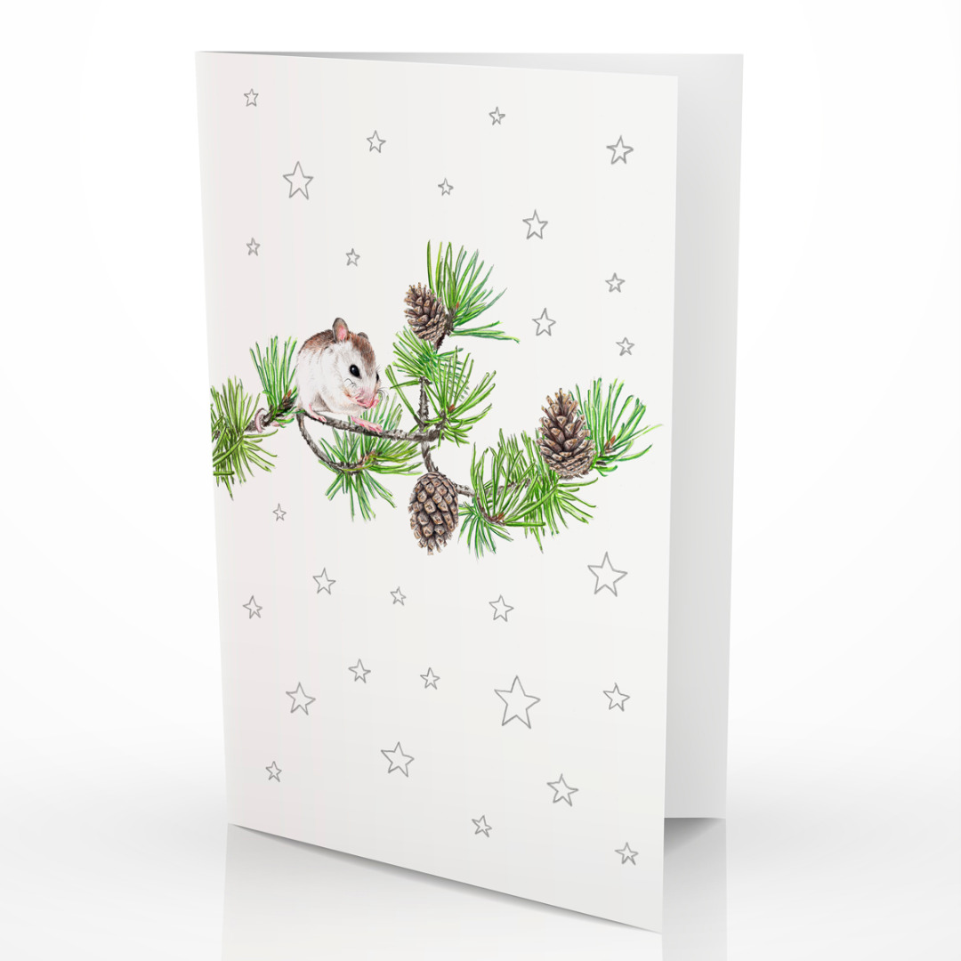 Weihnachtskarte Maus auf Kiefernzweig Grußkarte 2