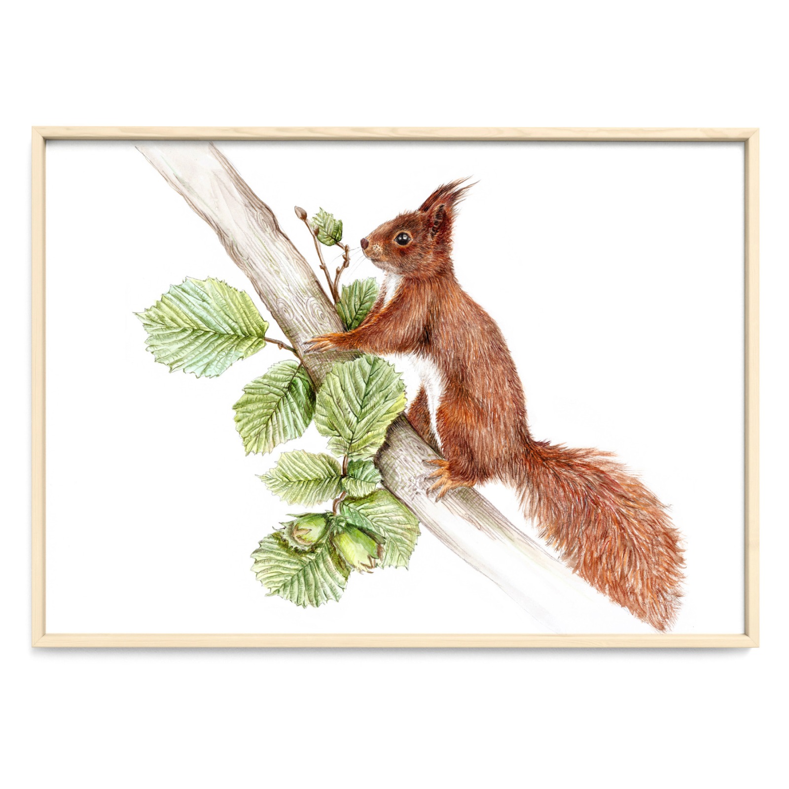 Eichhörnchen im Nussbaum Fine Art Print Giclée Print Poster Kunstdruck Tier Zeichnung 2
