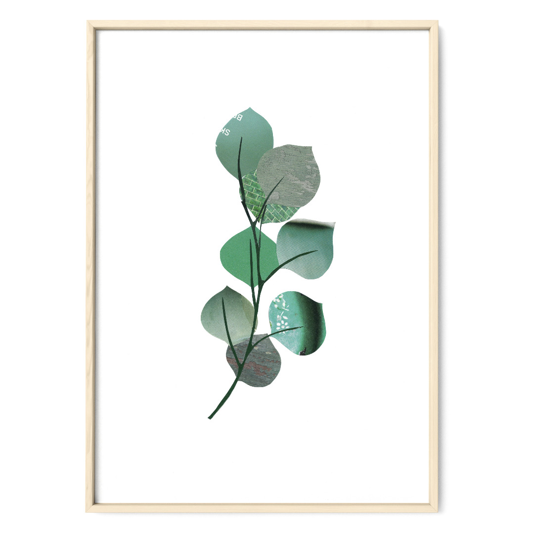 Eukalyptus Collage Poster Kunstdruck DIN A3 Pflanzenposter