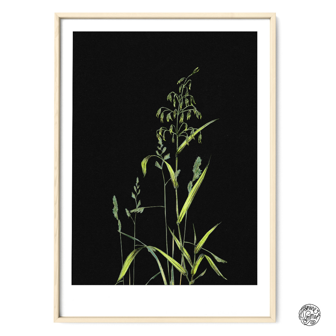 Gräser auf Schwarz Poster Kunstdruck Pflanzen Zeichnung