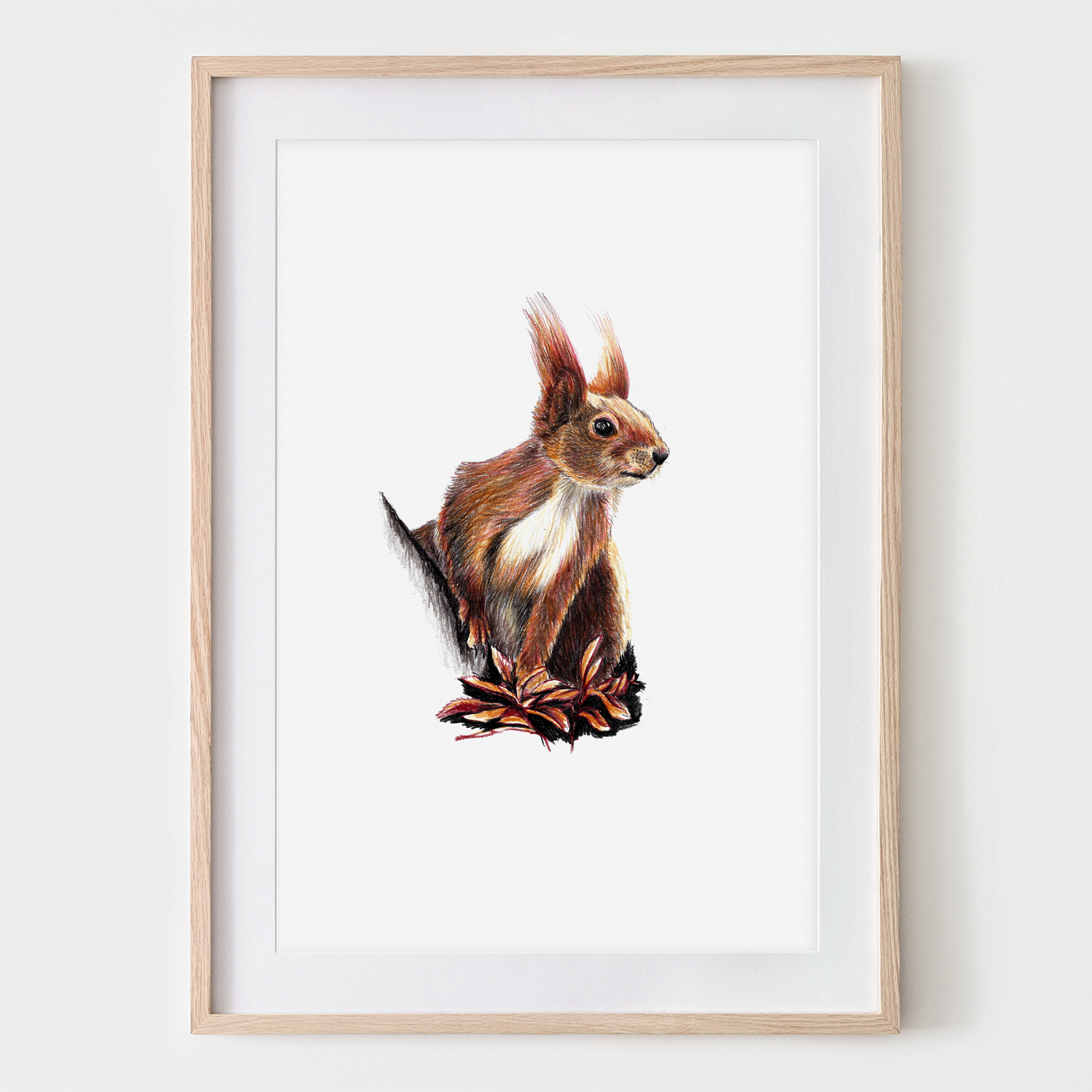 Eichhörnchen 02, Fine Art Print, Giclée Print, Poster, Kunstdruck, Tier Zeichnung