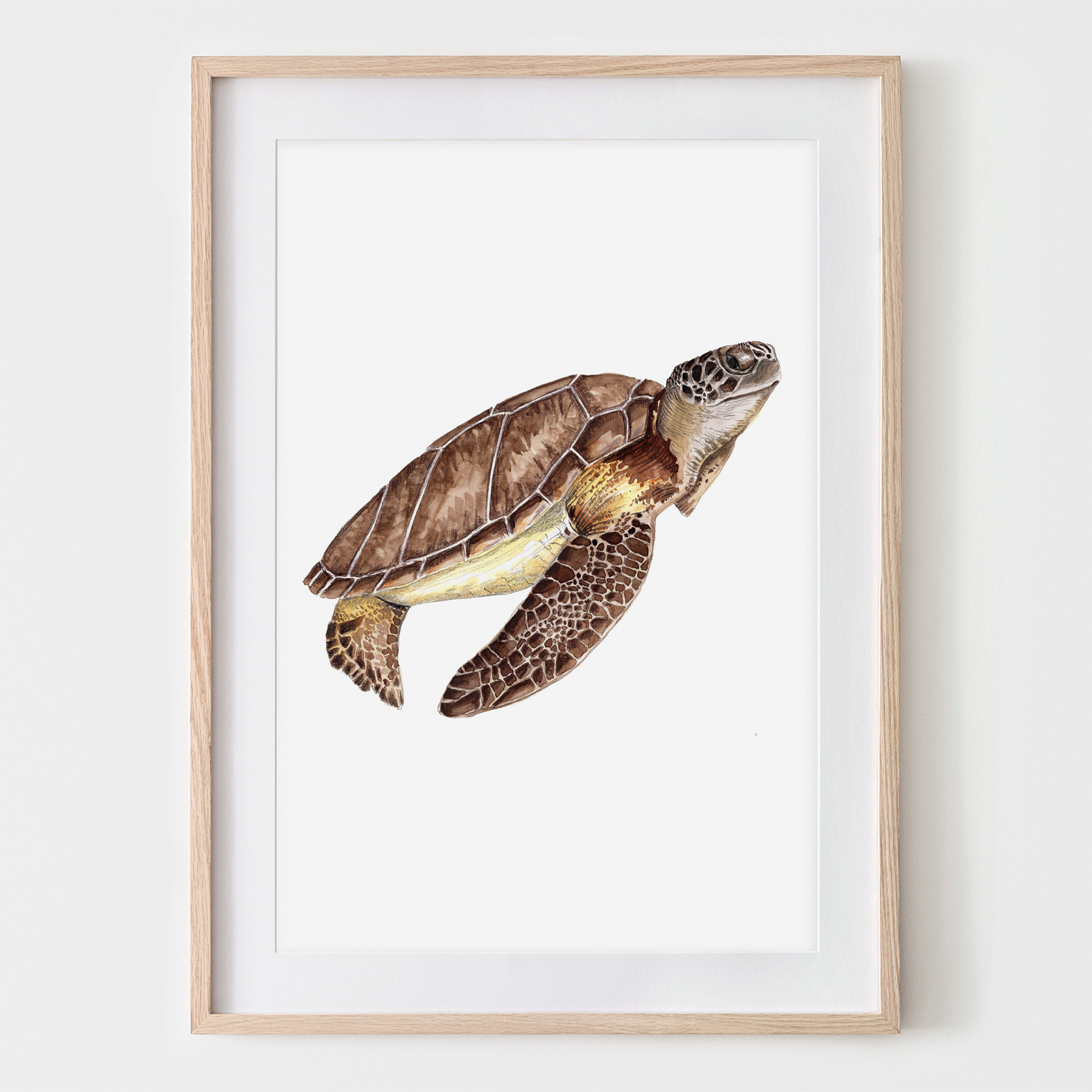 Schildkröte, Fine Art Print, Giclée Print, Poster, Kunstdruck, Zeichnung Meerestier