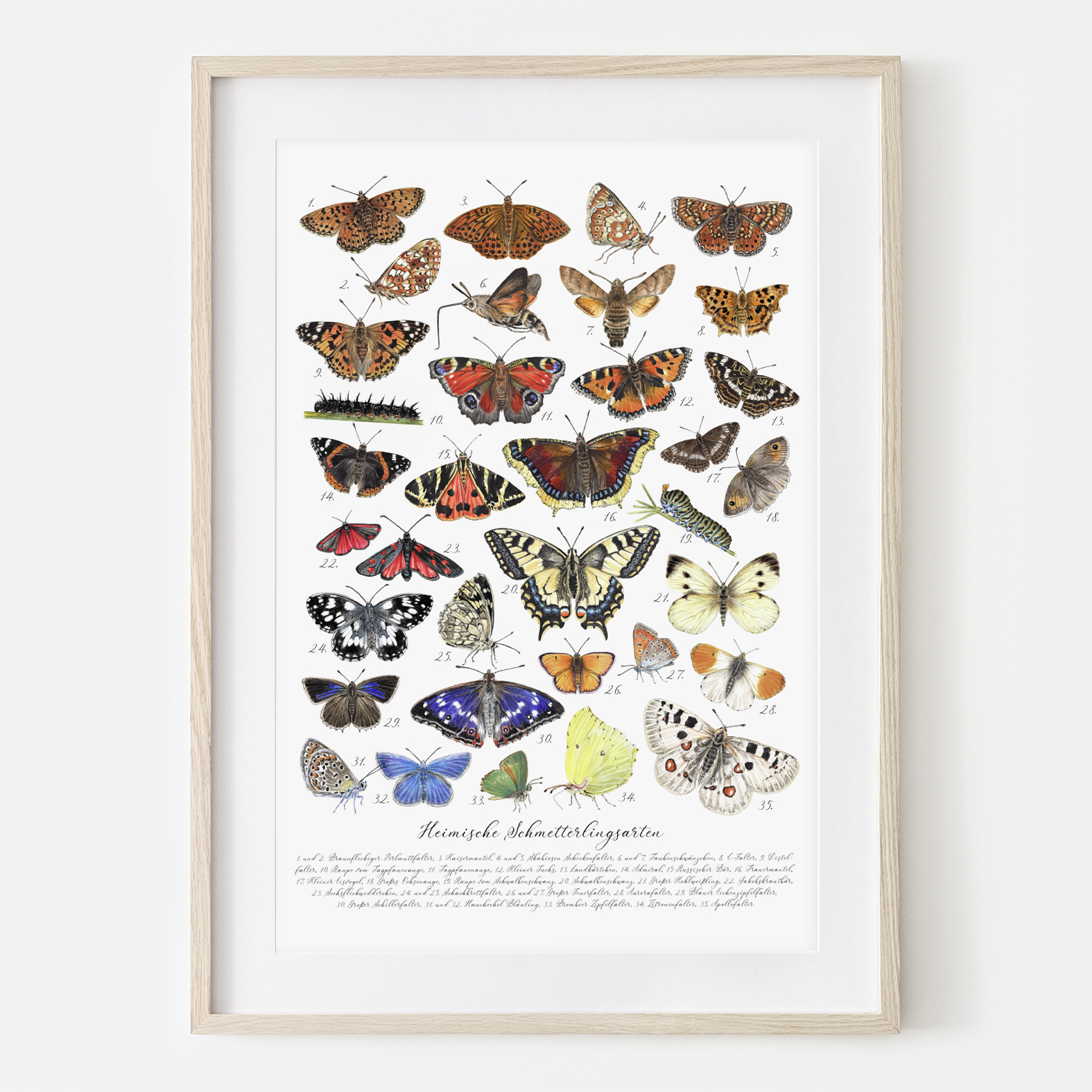 Heimische Schmetterlingsarten, Fine Art Giclée Print, Original in Aquarell, traditionell von Hand