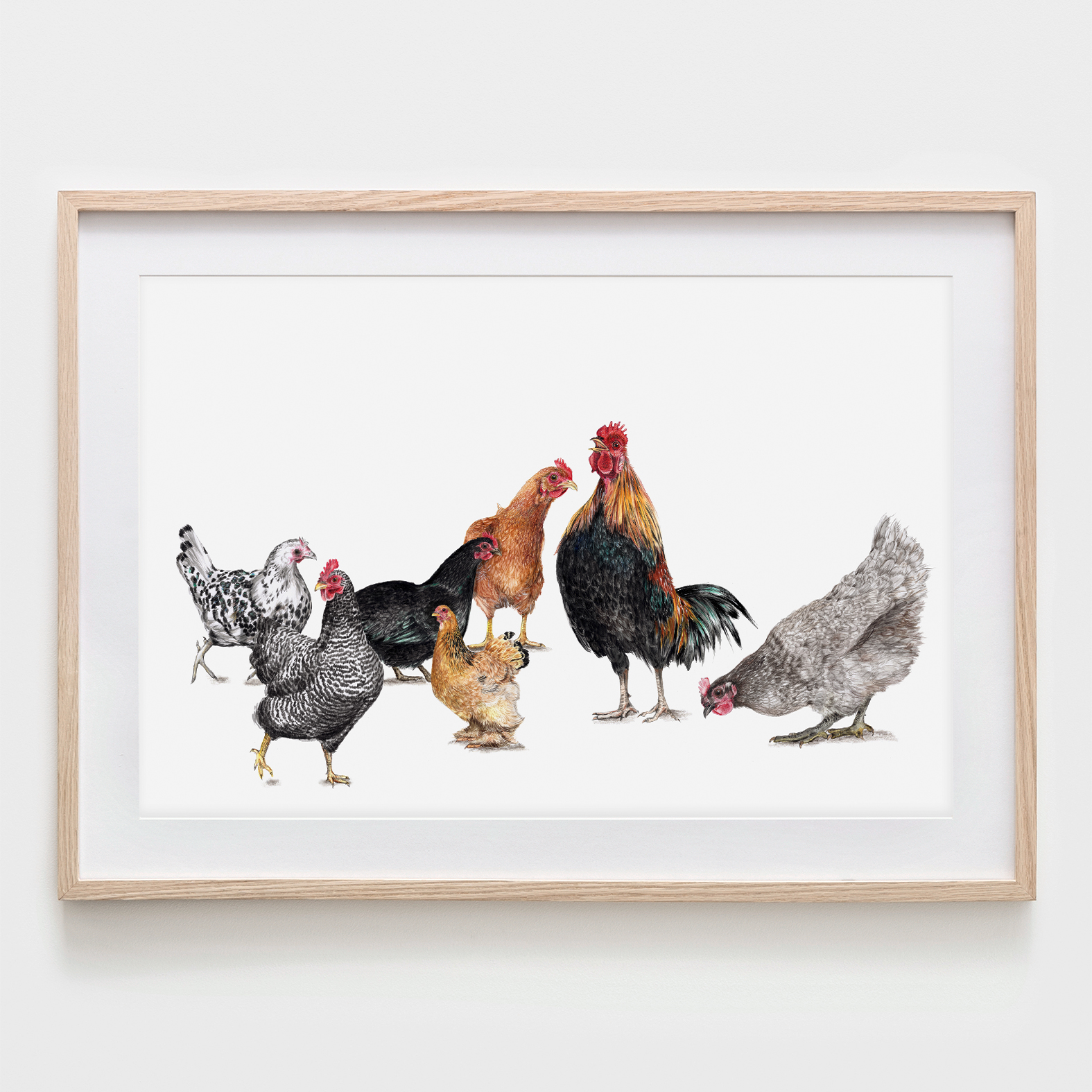 7 Hühner, Fine Art Print, Giclée Print, Poster, Kunstdruck, Zeichnung