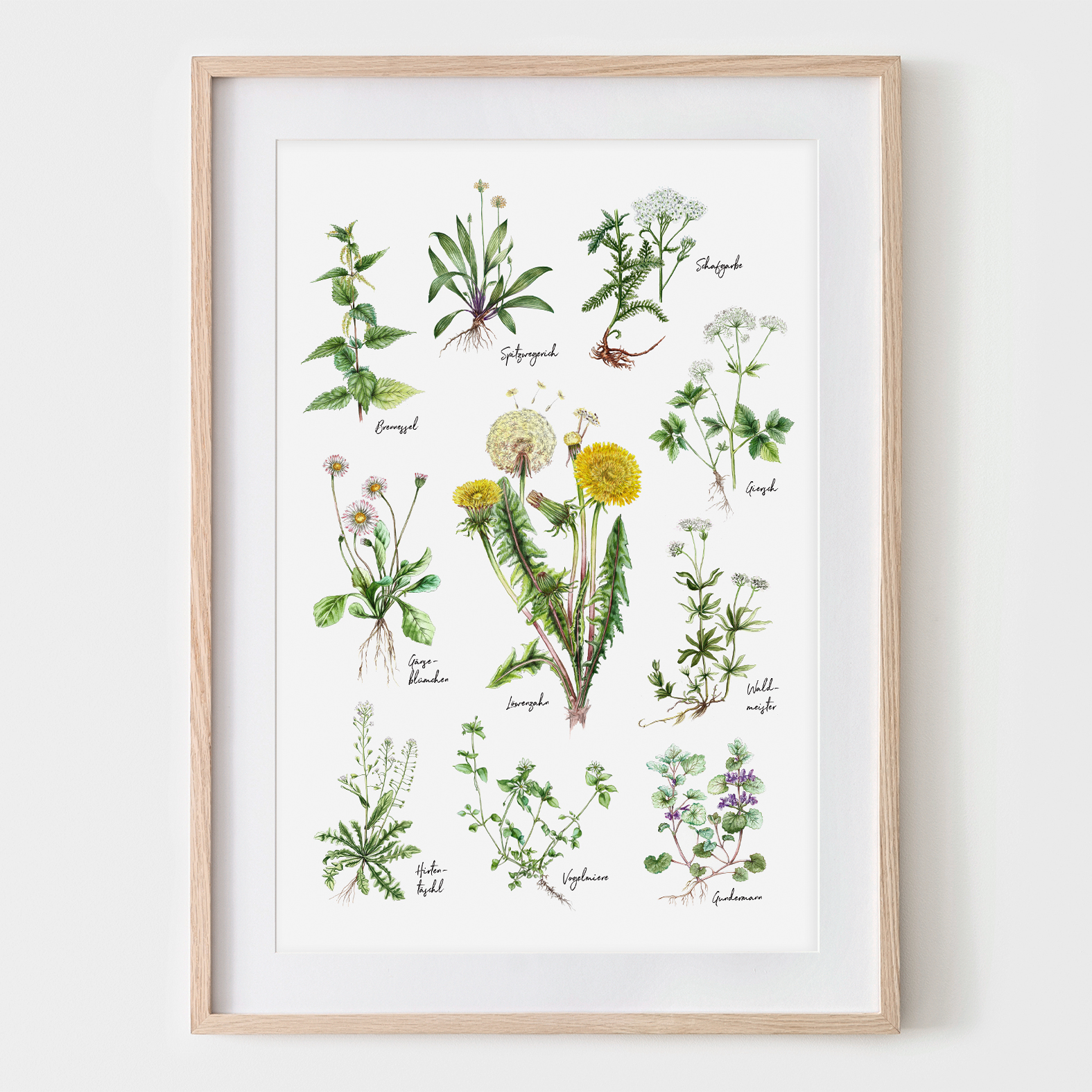 10 Wildkräuter, Fine Art Print, Giclée Print, Poster, Kunstdruck, Pflanzen Zeichnung