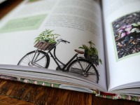 Buch Kleine Freiheit Garten - glücklich im Schrebergarten signiertes Exemplar 12
