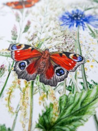 Schmetterlinge auf der Wiese, Schmetterlinge gezeichnet, Schmetterlingsposter, Fine Art Print,