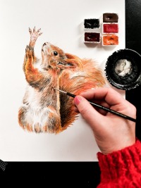 Eichhörnchen mit Nusskranz, Fine Art Print, Giclée Print, Poster, Kunstdruck, Tier Zeichnung 2