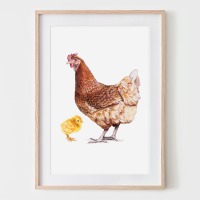 braunes Huhn mit Küken, Poster Kunstdruck