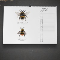 Kalender 2024, Insekten, Insektenkalender, Wandkalender, Käferkalender, Kunstkalender,