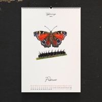 Kalender 2024, Schmetterlinge, Schmetterlingskalender, Wandkalender, Insektenkalender,