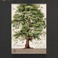 Baumkalender, Bäume, Kalender 2023, Wandkalender, Waldkalender, Kunstkalender, illustrierter