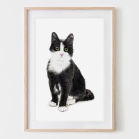 Katze Murmelauge, Fine Art Print, Giclée Print, Poster, Kunstdruck, Tier Zeichnung