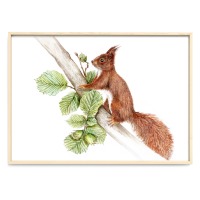 Eichhörnchen im Nussbaum, Fine Art Print, Giclée Print, Poster, Kunstdruck, Tier Zeichnung 2