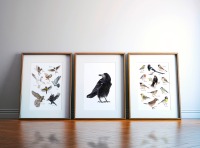 Heimische Vögel im Flug, Fine Art Print, Giclée Print, Poster, Kunstdruck, Zeichnung 3