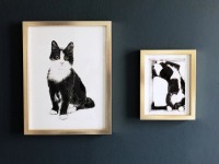 Katze im Karton, Fine Art Print, Giclée Print, Poster, Kunstdruck, Tier Zeichnung 3