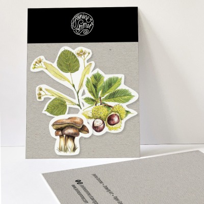 3 Sticker Blätter, Kastanien, Pilz, Lindenblatt - Outdooraufkleber, vegan