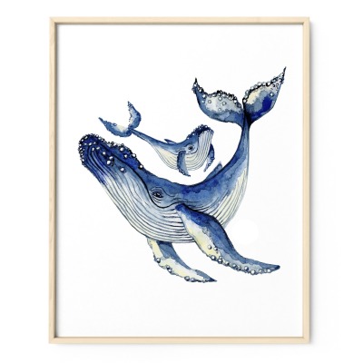 Buckelwale, Fine Art Print, Giclée Print, Poster, Kunstdruck, Zeichnung Meerestier - Aquarell, Repr