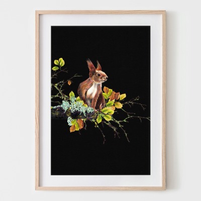 Eichhörnchen auf dem Ast, Fine Art Print, Giclée Print, Poster, Kunstdruck, Tier Zeichnung -