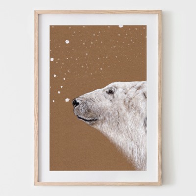 Polarbär, Eisbär, Fine Art Print, Giclée Print, Poster, Kunstdruck, Tier Zeichnung - Buntstift