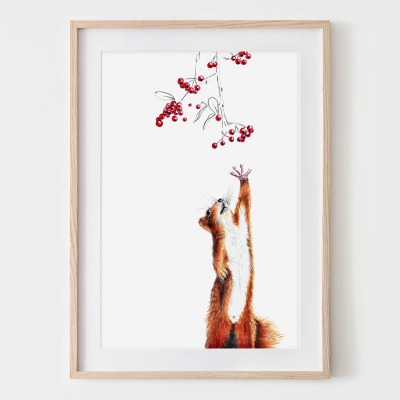 Eichhörnchen mit Beeren, Fine Art Print, Giclée Print, Poster, Kunstdruck, Zeichnung -