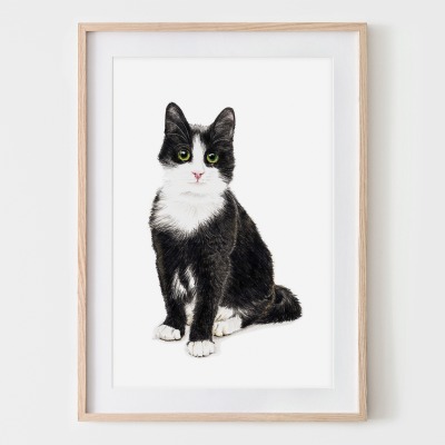 Katze Murmelauge, Fine Art Print, Giclée Print, Poster, Kunstdruck, Tier Zeichnung -