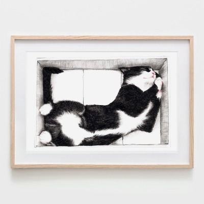Katze im Karton, Fine Art Print, Giclée Print, Poster, Kunstdruck, Tier Zeichnung -