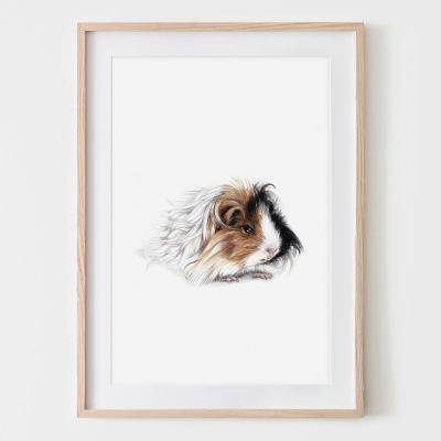 Meerschweinchen, Fine Art Print, Giclée Print, Poster, Kunstdruck, Tier Zeichnung -