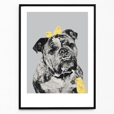 Bulldog, Fine Art Print, Giclée Print, Poster, Kunstdruck, Zeichnung - Collage aus Magazinen der