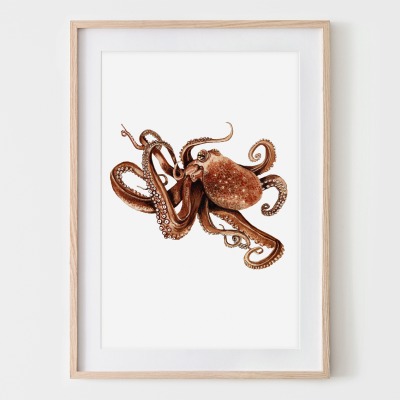 Oktopus, Fine Art Print, Giclée Print, Poster, Kunstdruck, Zeichnung, Meerestier - Aquarell, Reprod