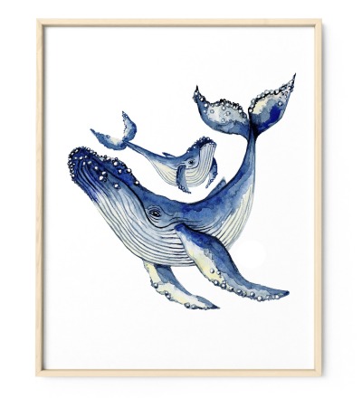 Buckelwale Poster Kunstdruck Zeichnung Meerestier - Aquarell Reproduktion