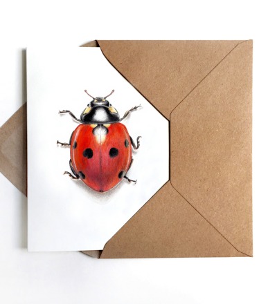 Grußkarte Marienkäfer Grußkarte Käfer - inkl Umschlag