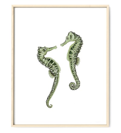 Seepferdchen Poster Kunstdruck Zeichnung Meerestiere - Aquarell Reproduktion