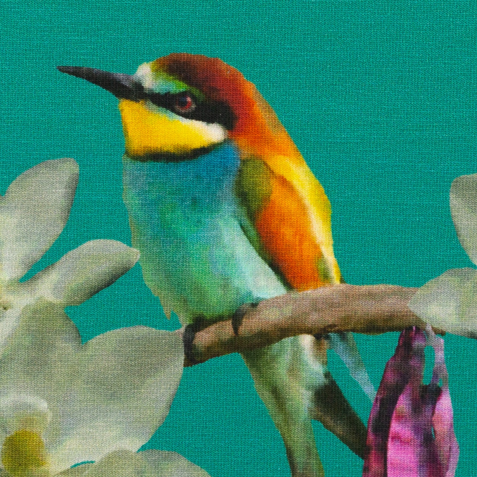 Baumwolljersey Blüten Vögelchen Vogel Swafing Sonado by bienvenido colorido petrol 5