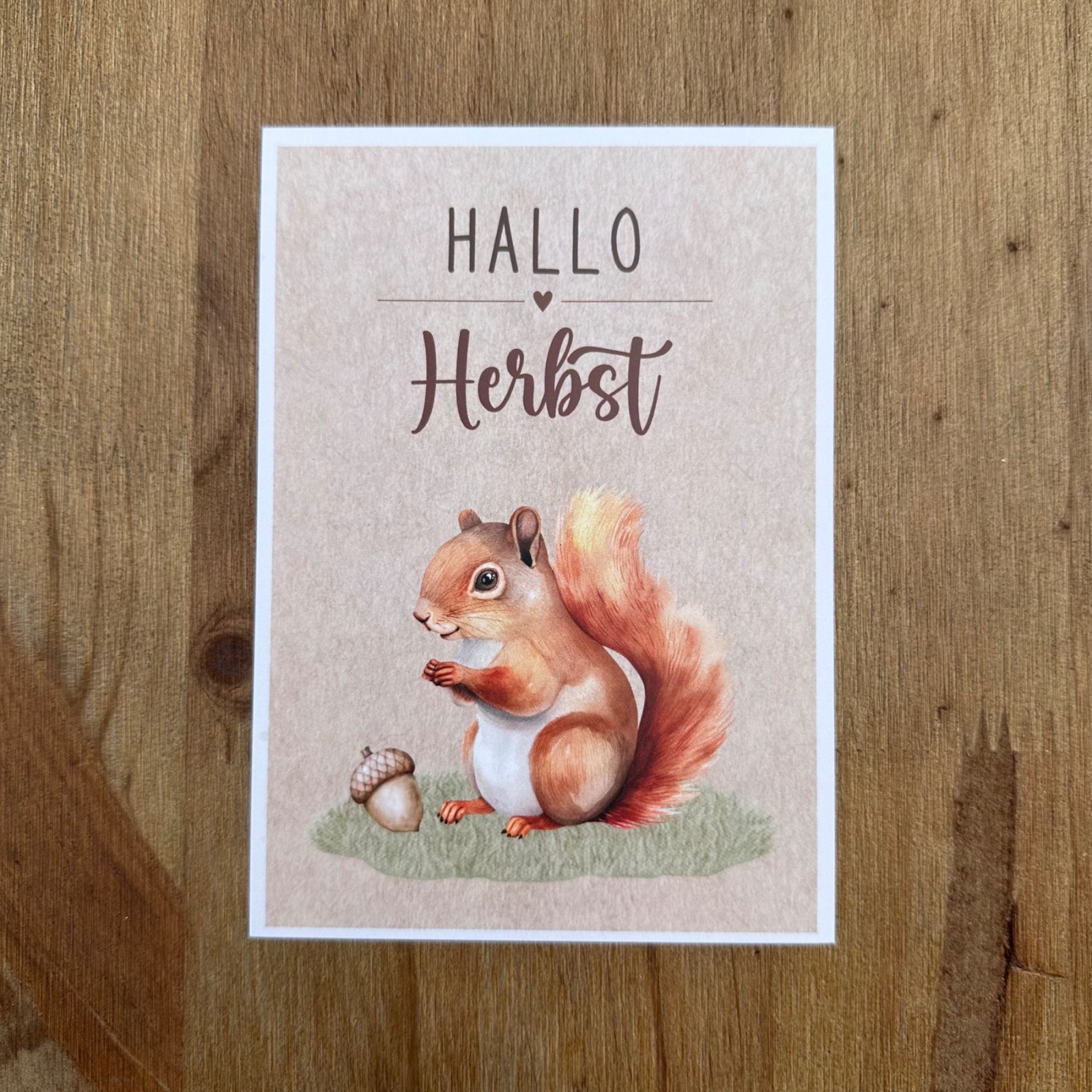 Postkarte - Hallo Herbst - Eichhörnchen 3