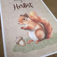 Postkarte - Hallo Herbst - Eichhörnchen 4