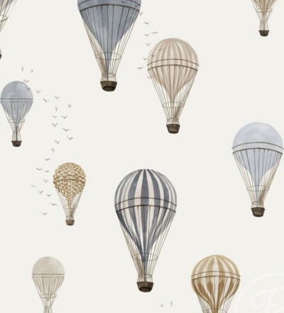 Hot Air Balloons Sky