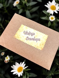 Vintage Envelope 3