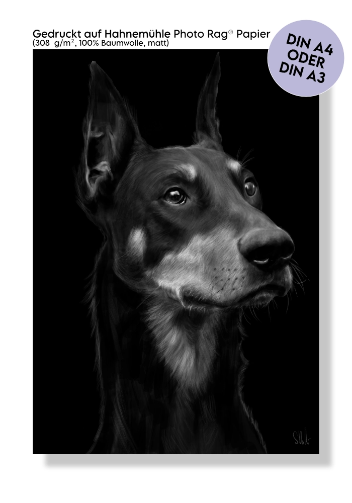 Kunstdruck Hunde-Porträt Dobermann