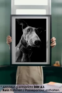 Kunstdruck Hunde-Porträt Podenco Canario 3